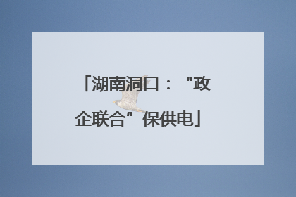 湖南洞口：“政企联合”保供电